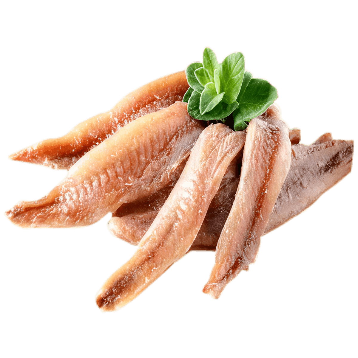Anchois