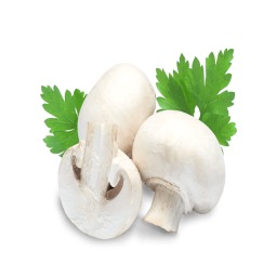 Champignons