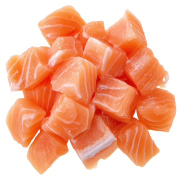 saumon 